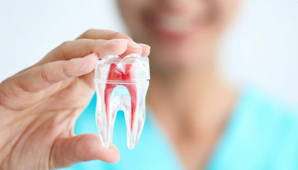 Is Root Canal A Painless Procedure? - New Project